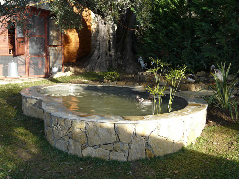 bassin de jardin var