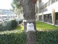 La pose d'un ou de plusieurs éco-piège par votre jardinier Prudon Paysages 