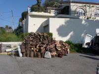 Aperçu de l' abattage d'un faux-poivrier à Saint Laurent du Var (06)