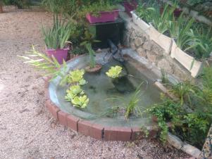 Aménagement de bassin de jardin