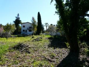 Entreprise de débroussaillage et entretien de jardin