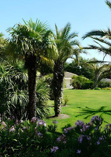 paysagiste engazonnement paysagiste engazonnement