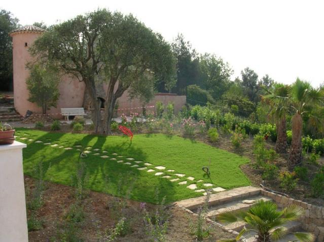 Gazon semé Gazon semé