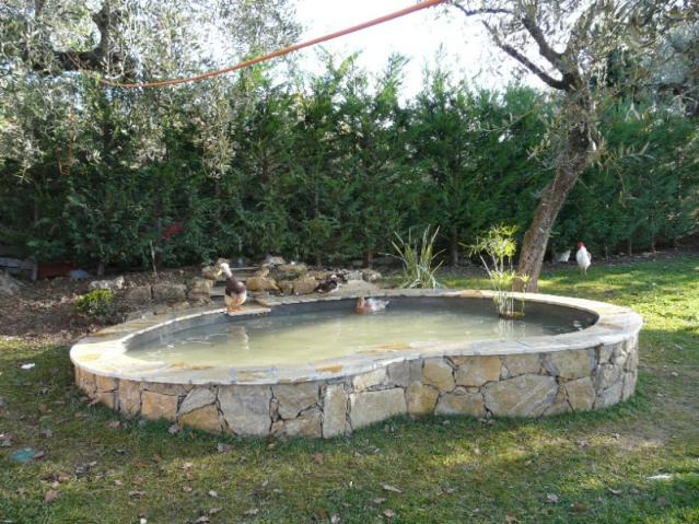 Aménagement de bassin de jardin