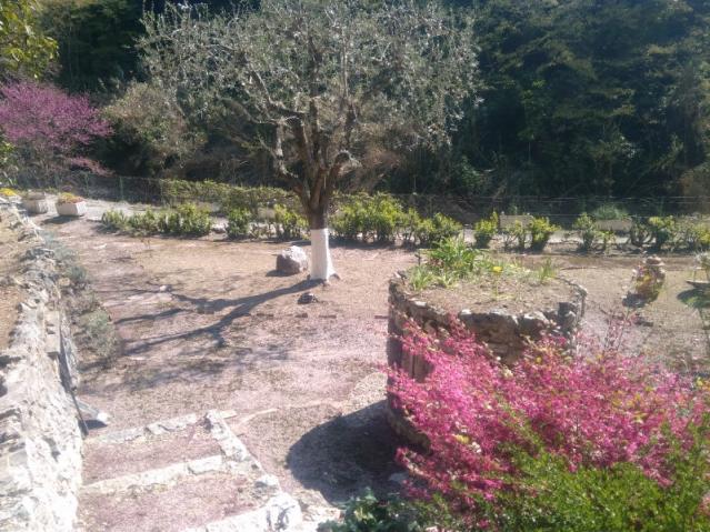 Aménagement d'espace vert Aménagement d'espace vert