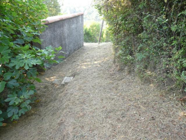 entreprise debroussaillage